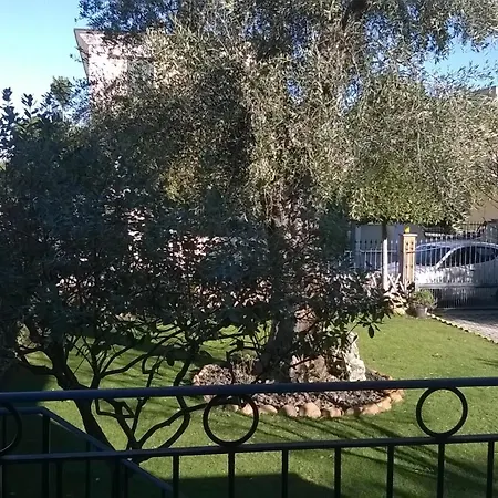 דירה Mimosa