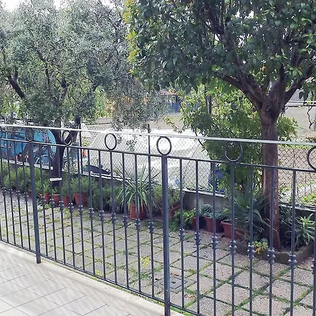 דירה Mimosa *